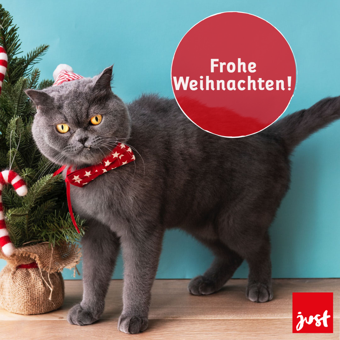 Das Bild zeigt eine graue Katze vor einem türkisfarbigen Hintergrund. Die Katze trägt eine rote Fliege und eine kleine Weihnachtsmütze. Sie sieht nicht sehr begeistert aus. Über der Katze stehen in weißer Schrift auf rotem Grund die Worte Frohe Weihnachten. In der unteren Ecke des Bildes ist das Logo der Jugendstiftung just zu sehen. Ein rotes Quadrat mit weißer Schrift. Links von der Katze steht ein kleiner Weihnachtsbaum. Er ist mit Zuckerstangen geschmückt.